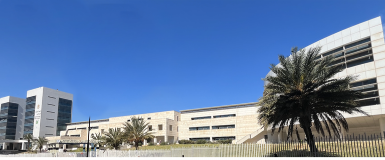 Faculty of Dental Medicine